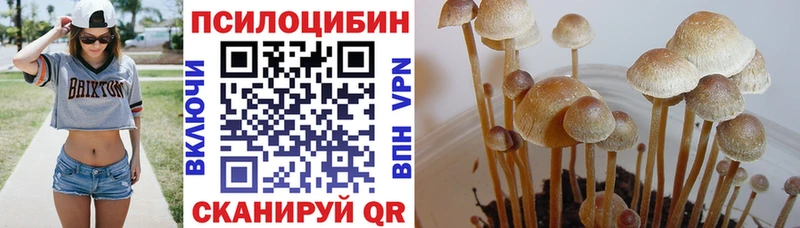 Галлюциногенные грибы мицелий  где купить наркоту  Канаш 