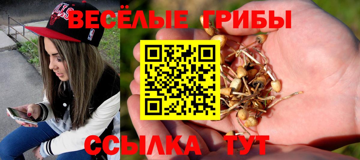 Псилоцибиновые грибы ЛСД Канаш