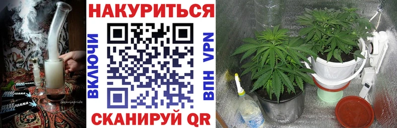Бошки Шишки AK-47 Канаш